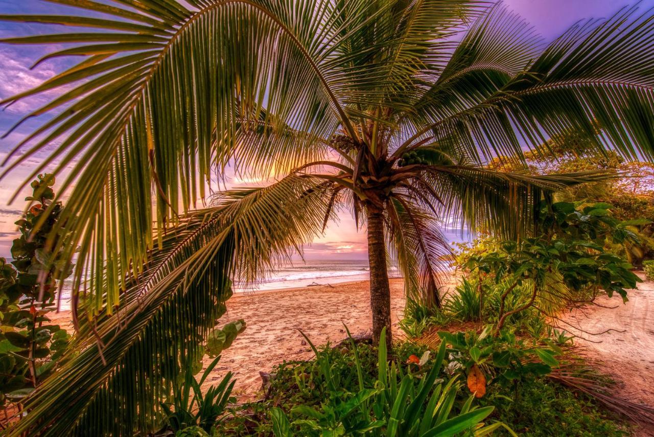 Oasis Bluff Beach Bocas del Toro Exterior foto