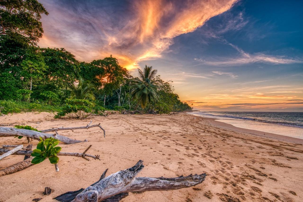 Oasis Bluff Beach Bocas del Toro Exterior foto